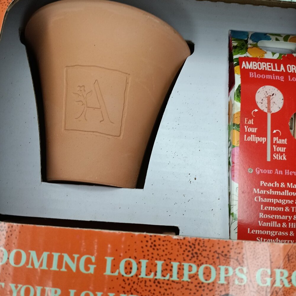 ambore organic - blooming lollipops grow kit, new